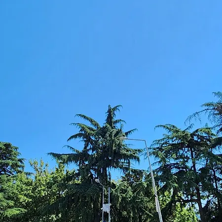 Lejlighedshotel Esa Trabzon