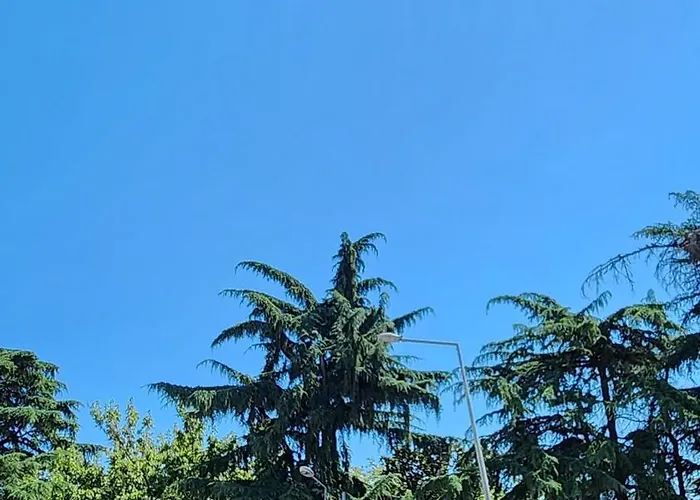 Aparthotel Esa Trabzon